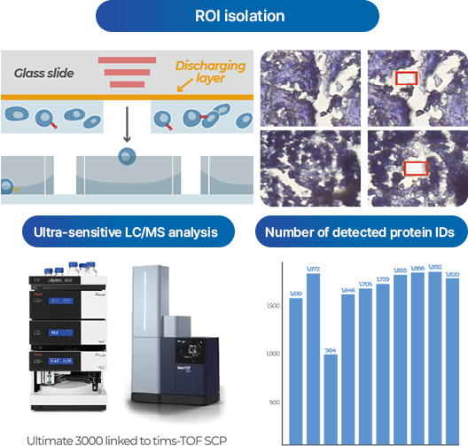 4D proteomics 이미지