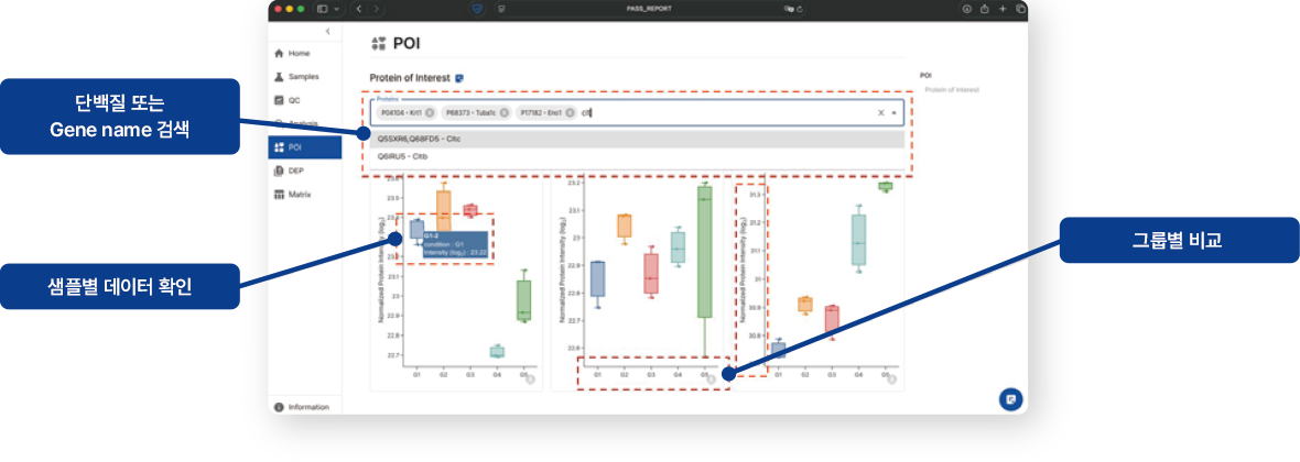 Data Expression 이미지