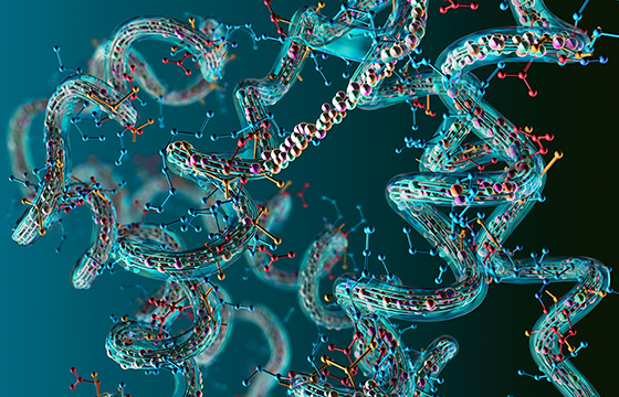 회사소개 이미지