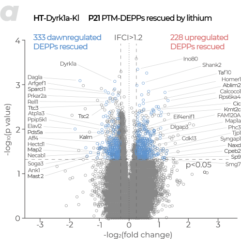 Tissue/Cell  이미지