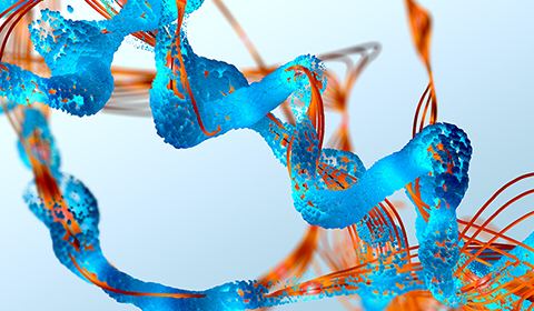 Tissue/Cell 이미지